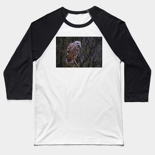 Barred Owl with vole Baseball T-Shirt by Jim Cumming